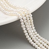 Natural Cultured Freshwater Pearl Beads Strands PEAR-C003-11D-2