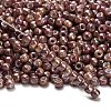 TOHO 6/0 Round Beads X-SEED-TR06-1203-2