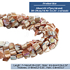  5 Strands Natural Freshwater Shell Beads Strands SHEL-NB0001-57-2