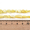 Natural White Shell Beads Strands SHEL-N036-21H-4