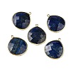 Natural Lapis Lazuli Pendants G-B009-07G-C-2