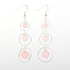 Dangling NAtural Gemstone Beads Pendant Earrings EJEW-JE01310-2