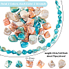 6 Strands 3 Colors Natural Freshwater Shell Dyed Beads Strands SHEL-PH0001-60-2