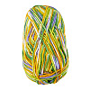 Polyester Fibers Knitting Yarn DIY-TADJ0002-005A-2