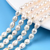 Natural Cultured Freshwater Pearl Beads Strands PEAR-N012-05K-1