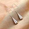 304 Stainless Steel Dangle Earrings EJEW-NH0004-01P-2
