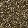 MIYUKI Delica Beads SEED-X0054-DB0288-3