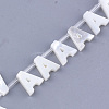 Natural Sea Shell Beads SHEL-T012-60-3