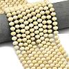 Natural Fossil Beads Strands G-P573-A42-01-1