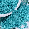 MIYUKI Delica Beads SEED-X0054-DB0658-1