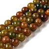 Natural Agate Beads Strands G-P516-A01-A11-1