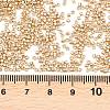 MIYUKI Delica Beads SEED-MY11-DB2501-3