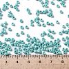 TOHO 8/0 Round Beads SEED-XTR08-0413F-4