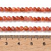 Natural South Red Agate Beads Strands GG-CBA6824-A01-01-5