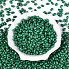 Baking Paint Glass Seed Beads SEED-T007-15O-1