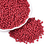 Baking Paint Glass Seed Beads SEED-S002-K5-1