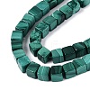 Natural Malachite Beads Strands G-Q608-24-4