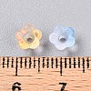 Frosted Transparent Acrylic Beads OACR-N137-72F-4