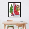 Christmas Santa Claus Pattern DIY Embroidery Kit PW-WGF4F6C-01-3