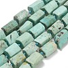 Natural Peruvian Turquoise(Jasper) Beads Strands G-NH0072-E04-02-2