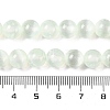 Natural Selenite Beads Strands G-C142-01B-06-5