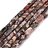 Natural Leopard Skin Jasper Beads Strands GG-N002-01A-12-2