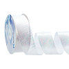 18M Iridescent Polyester Ribbon OCOR-WH0097-10A-1