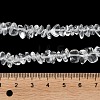 Transparent Glass Beads Strands GLAA-P060-01A-14-4