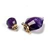 Natural Amethyst Perfume Bottle Pendants G-D058-11G-07-3