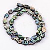 Natural Abalone Shell/Paua Shell Beads Strands X-SSHEL-G003-8-8x12mm-2