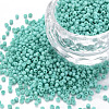 13/0 Glass Seed Beads SEED-T005-14A-A14-1