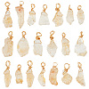 DICOSMETIC 20Pcs Rough Raw Natural Citrine Pendants FIND-DC0001-72-1