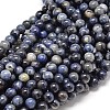 Natural Sodalite Round Beads Strands G-P075-07-6mm-1