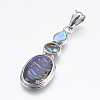 Abalone Shell/Paua Shell Pendants X-SSHEL-P014-19-1