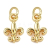 Brass Pendants KK-L231-09G-1