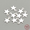 925 Sterling Silver Charms STER-S002-30-3