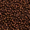 TOHO 6/0 Round Beads SEED-TR06-0618-4