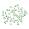 Opaque Acrylic Beads OACR-I022-02D-1