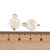 Natural Shell Disc Pendants STAS-D378-31G-3