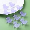 Frosted Acrylic Pendants MACR-S373-60K-04-7