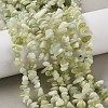 Natural New Jade Chip Bead Strands G-M205-29-8