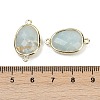 Natural Amazonite Faceted Connector Charms G-K347-11G-18-3