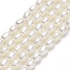 Natural Cultured Freshwater Pearl Beads Strands PEAR-J006-03A-1