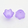 Transparent Acrylic Beads FACR-R017-01-1