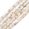 Natural Freshwater Shell Beads Strands SSHEL-C013-04A-1