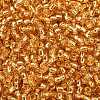 TOHO 8/0 Round Beads X-SEED-TR08-0022B-2