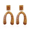 Resin Dangle Earrings X-EJEW-L199-36B-1