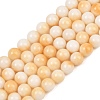 Dyed Natural White Jade Beads Strands GG-CBAD029-A01-8mm-2