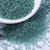 MIYUKI Round Rocailles Beads SEED-JP0008-RR2445-1