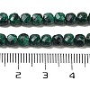 Natural Malachite Beads Strands G-H042-A50-02-5